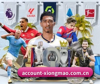 account-xiongmao.com.cn APP